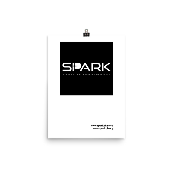SPARK Paper Poster